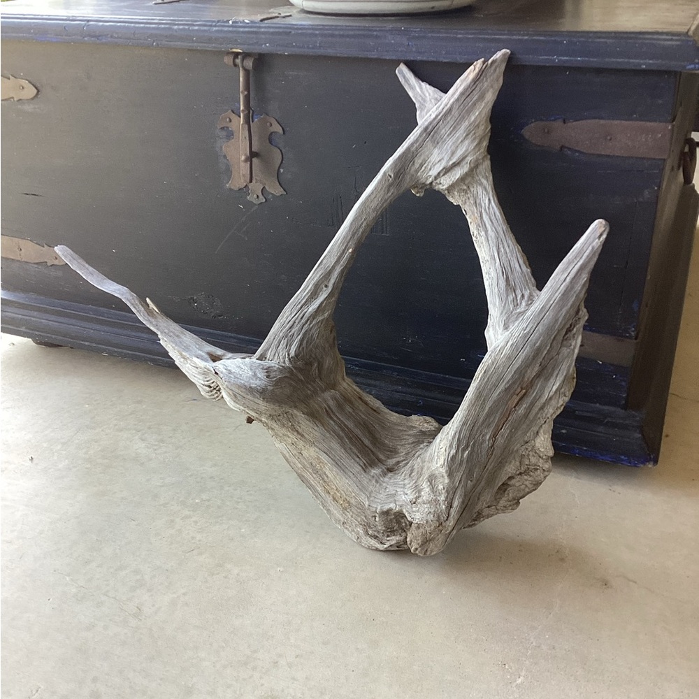 Real Wood, One-Piece Tree Root - Picture 2 of 11